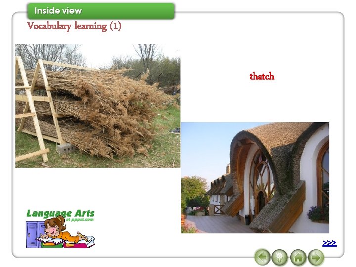 Vocabulary learning (1) thatch >>> 