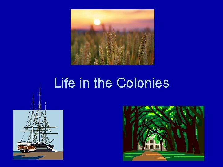 Warmup Using your early colonies chart complete the