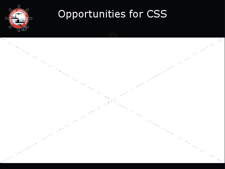 Opportunities for CSS 