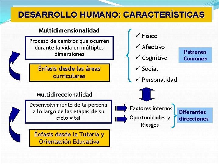 DESARROLLO HUMANO: CARACTERÍSTICAS Multidimensionalidad Proceso de cambios que ocurren durante la vida en múltiples