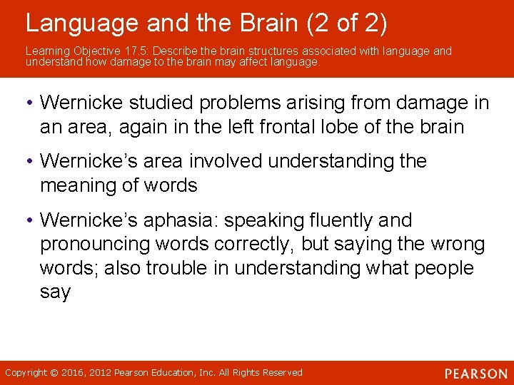 Language and the Brain (2 of 2) Learning Objective 17. 5: Describe the brain
