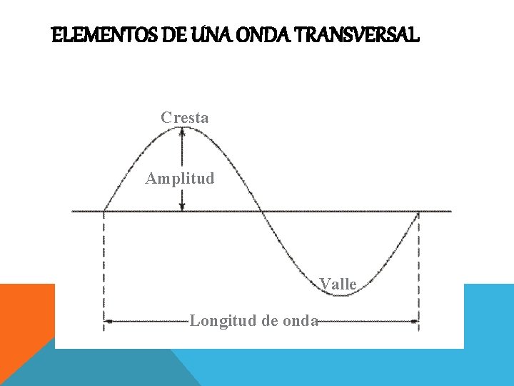 ELEMENTOS DE UNA ONDA TRANSVERSAL Cresta Amplitud Valle Longitud de onda 