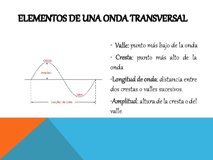 ELEMENTOS DE UNA ONDA TRANSVERSAL • Valle: punto más bajo de la onda •