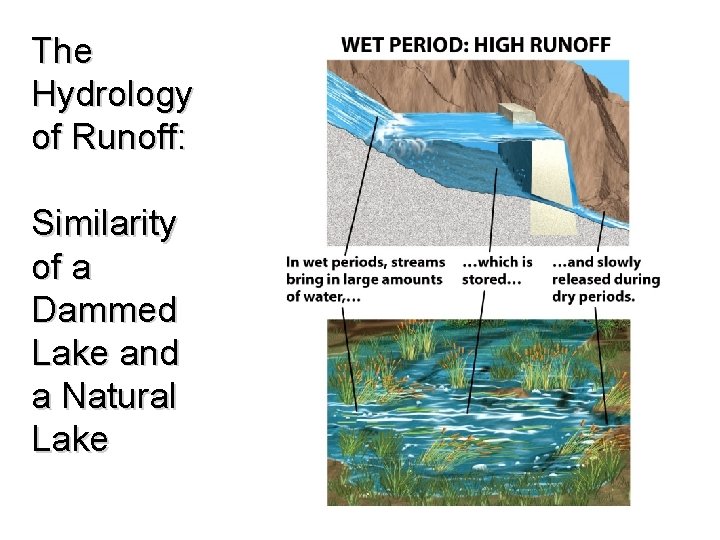 The Hydrology of Runoff: Similarity of a Dammed Lake and a Natural Lake 