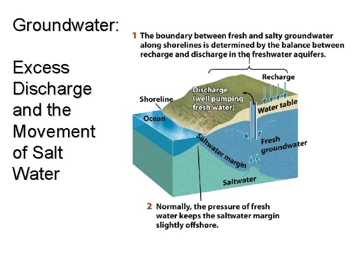 Groundwater: Excess Discharge and the Movement of Salt Water 