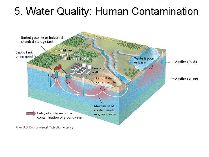 5. Water Quality: Human Contamination 