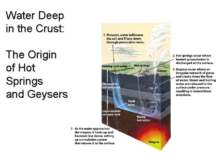 Water Deep in the Crust: The Origin of Hot Springs and Geysers 