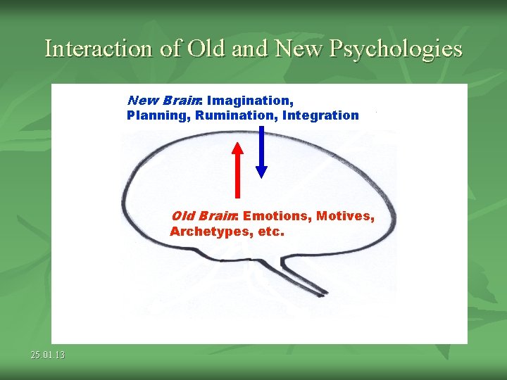 Interaction of Old and New Psychologies New Brain: Imagination, Planning, Rumination, Integration Old Brain: Interaction of Old and New Psychologies New Brain: Imagination, Planning, Rumination, Integration Old Brain: