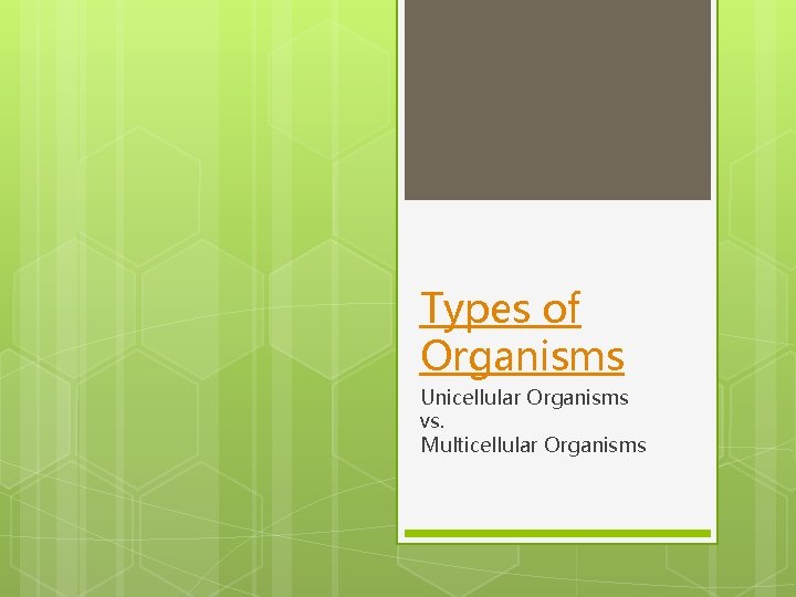 Types of Organisms Unicellular Organisms vs. Multicellular Organisms 