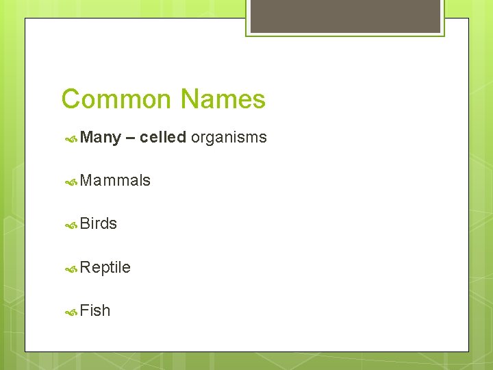 Common Names Many – celled organisms Mammals Birds Reptile Fish 