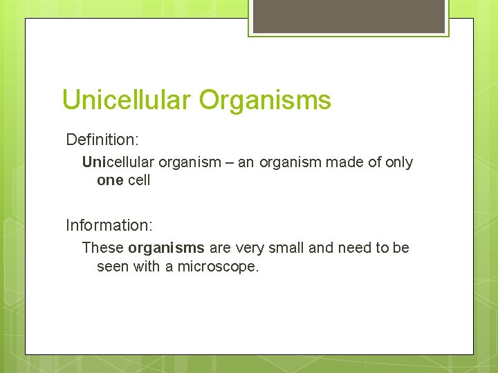 Unicellular Organisms Definition: Unicellular organism – an organism made of only one cell Information: