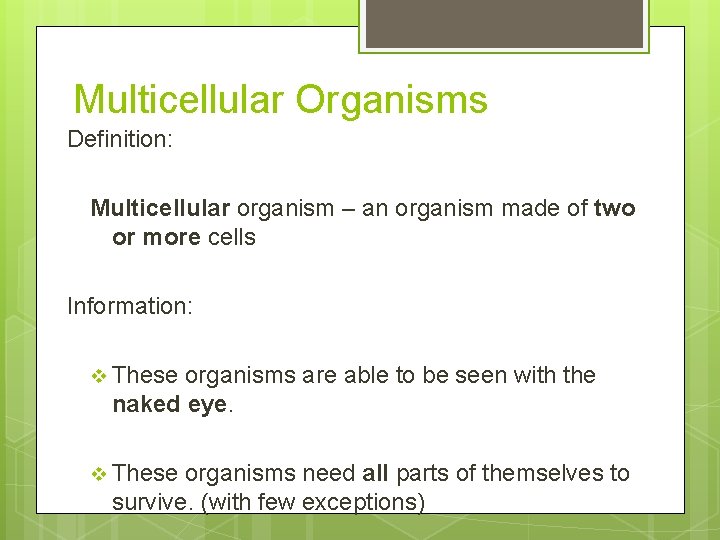 Multicellular Organisms Definition: Multicellular organism – an organism made of two or more cells