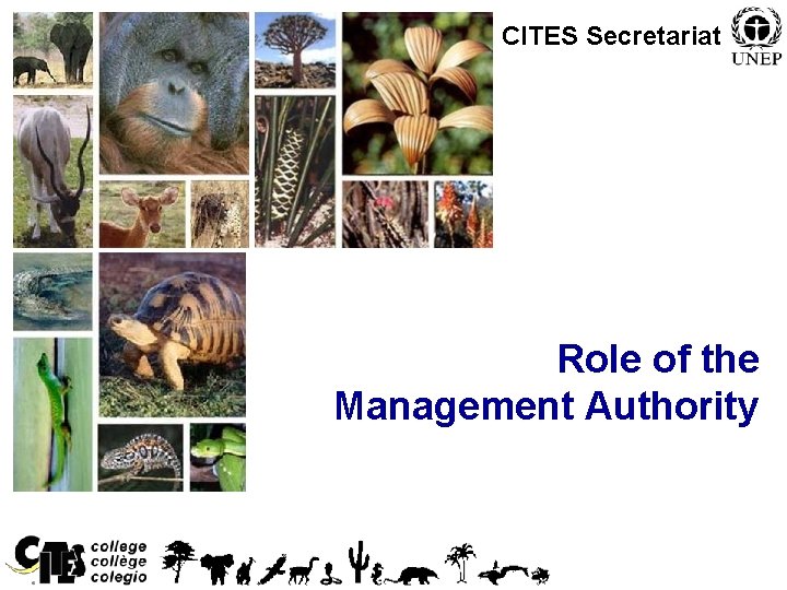 CITES Secretariat Role of the Management Authority 1 