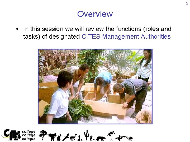 2 Overview • In this session we will review the functions (roles and tasks)