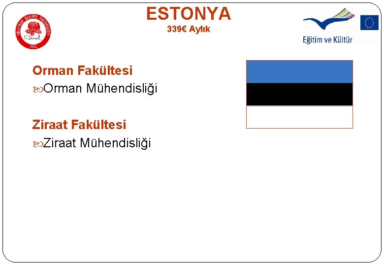 ESTONYA 339€ Aylık Orman Fakültesi Orman Mühendisliği Ziraat Fakültesi Ziraat Mühendisliği ESTONYA 339€ Aylık Orman Fakültesi Orman Mühendisliği Ziraat Fakültesi Ziraat Mühendisliği