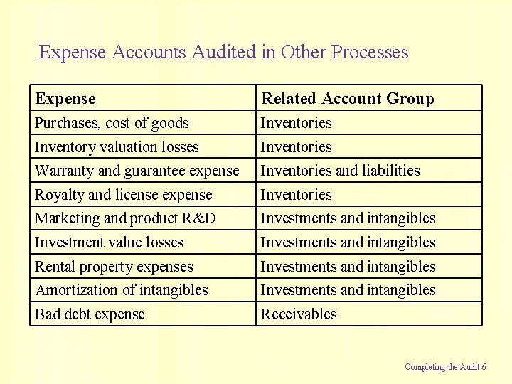 Expense Accounts Audited in Other Processes Expense Related Account Group Purchases, cost of goods