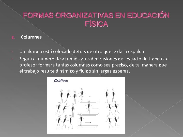 FORMAS ORGANIZATIVAS EN EDUCACIÓN FÍSICA 2. Columnas Un alumno está colocado detrás de otro