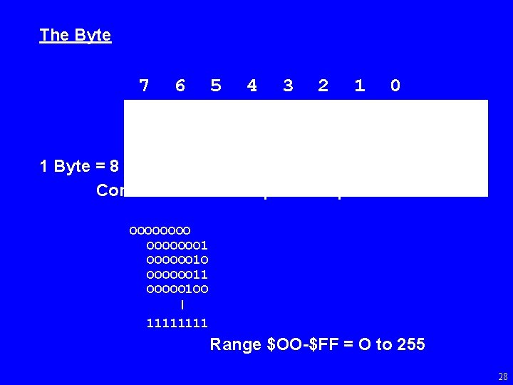 The Byte 7 6 5 4 3 2 1 0 1 Byte = 8