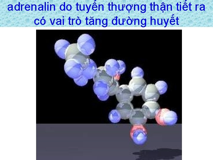 adrenalin do tuyến thượng thận tiết ra có vai trò tăng đường huyết 