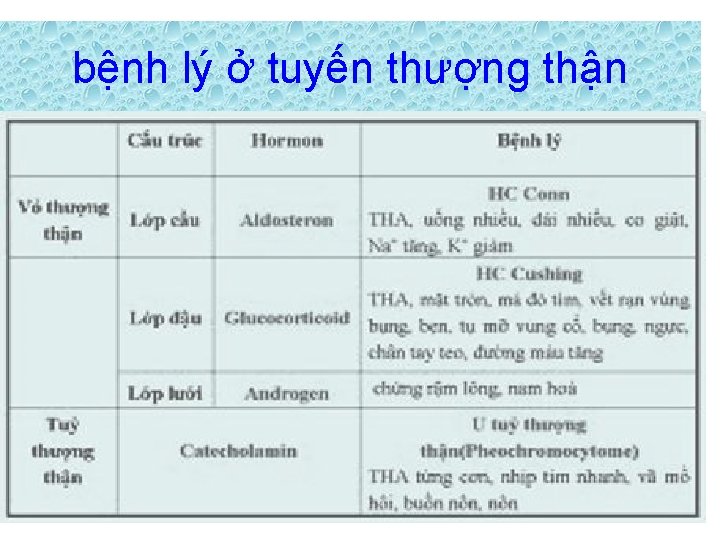 bệnh lý ở tuyến thượng thận 