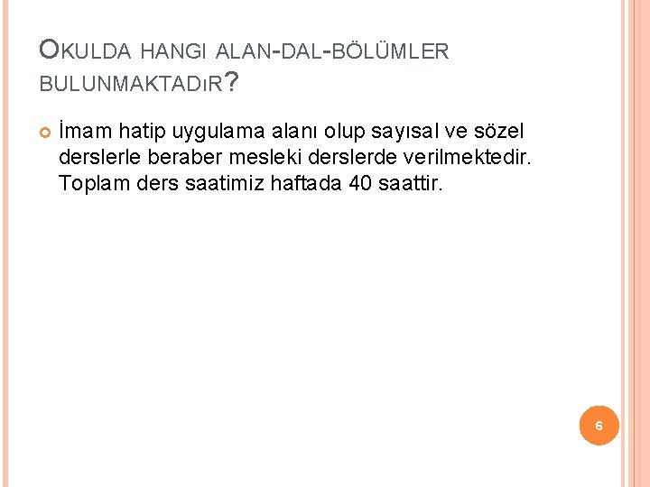 OKULDA HANGI ALAN-DAL-BÖLÜMLER BULUNMAKTADıR? İmam hatip uygulama alanı olup sayısal ve sözel derslerle beraber