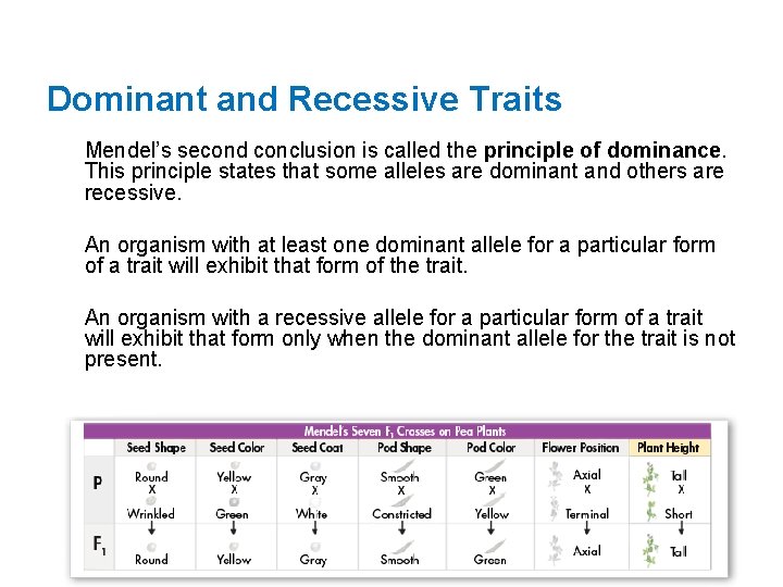 Dominant and Recessive Traits Mendel’s second conclusion is called the principle of dominance. This