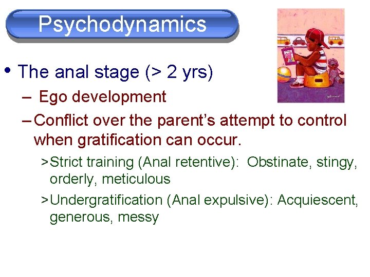 Psychodynamics • The anal stage (> 2 yrs) – Ego development – Conflict over