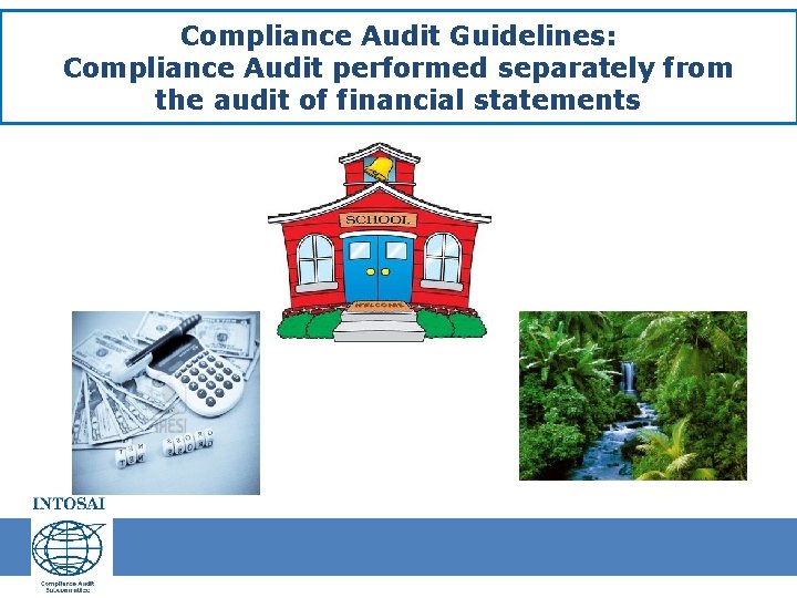 Compliance Audit Guidelines: Compliance Audit performed separately from the audit of financial statements 