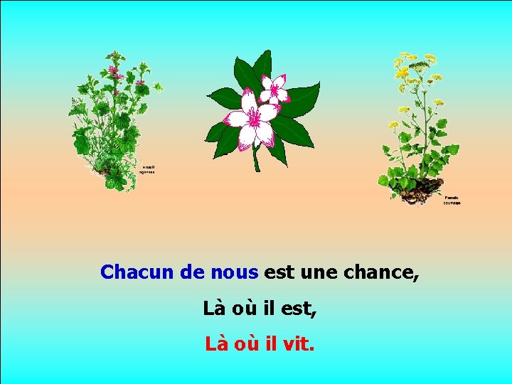 . . Chacun de nous est une chance, Là où il est, Là où