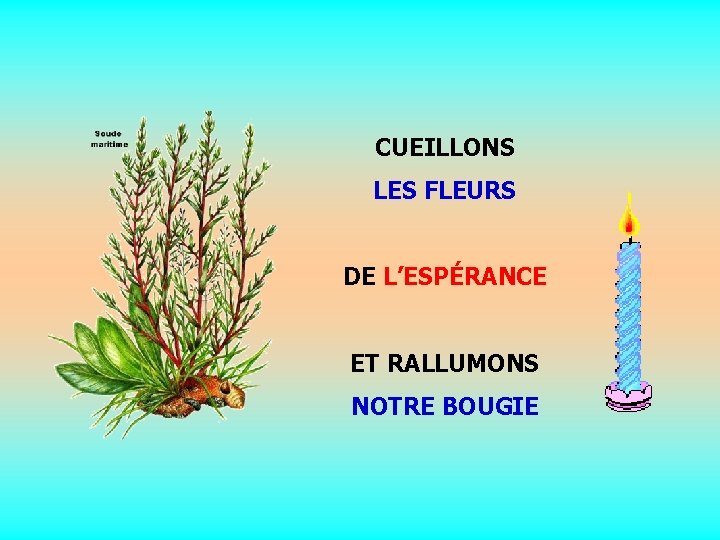 CUEILLONS LES FLEURS. DE L’ESPÉRANCE. ET RALLUMONS NOTRE BOUGIE 