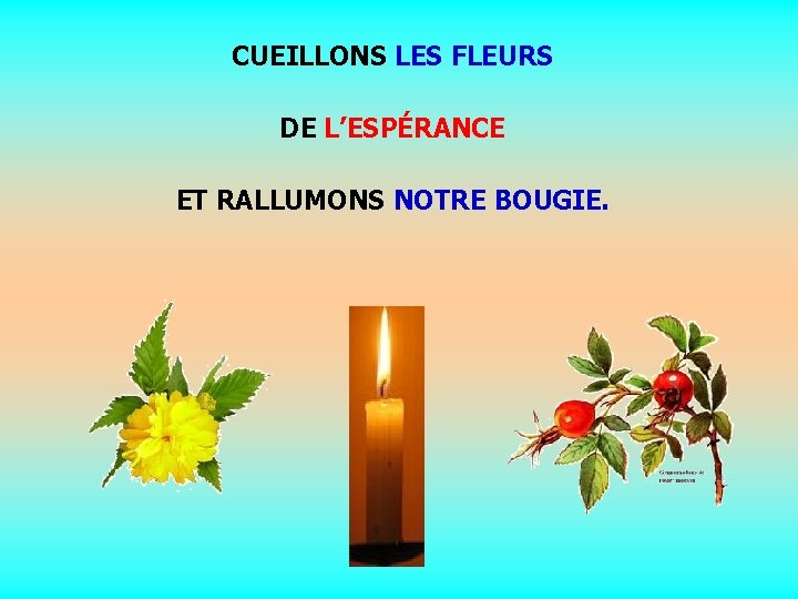 CUEILLONS LES FLEURS DE L’ESPÉRANCE ET RALLUMONS NOTRE BOUGIE. . . 