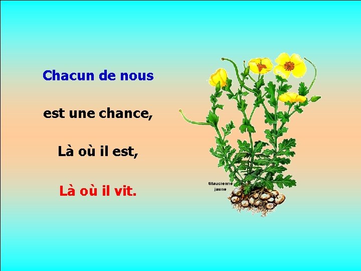 Chacun de nous est une chance, Là où il est, Là où il vit.