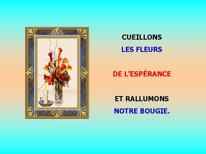 CUEILLONS LES FLEURS. DE L’ESPÉRANCE. ET RALLUMONS NOTRE BOUGIE. 