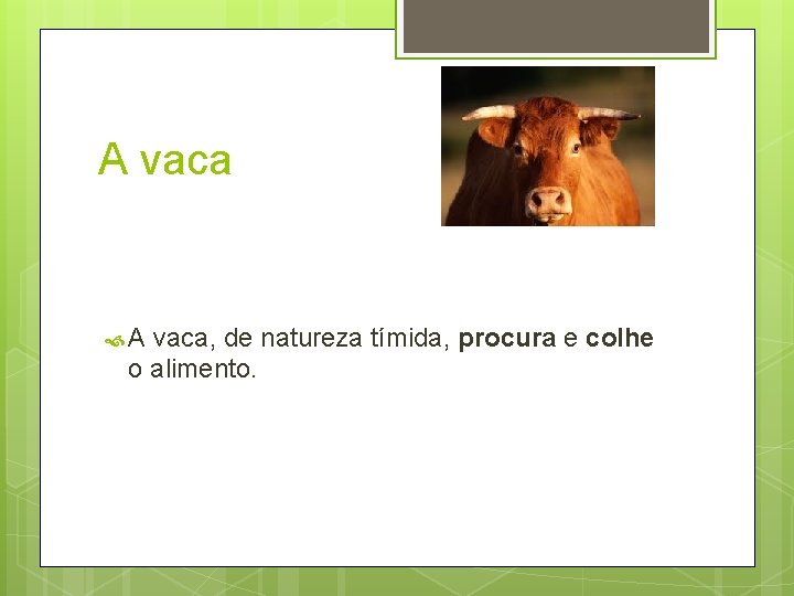 A vaca A vaca, de natureza tímida, procura e colhe o alimento. A vaca A vaca, de natureza tímida, procura e colhe o alimento.