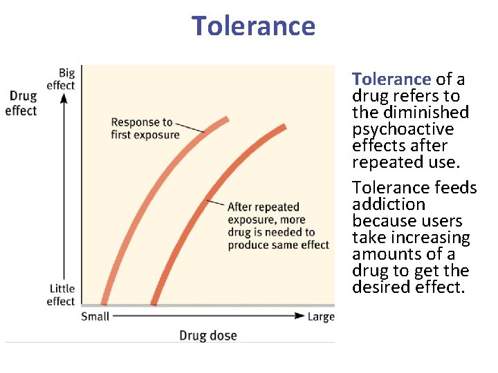 Tolerance of a drug refers to the diminished psychoactive effects after repeated use. Tolerance