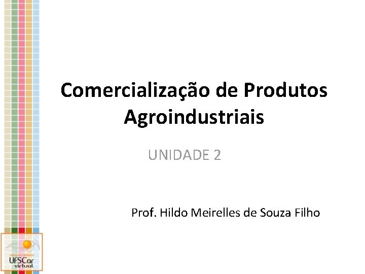 Comercialização de Produtos Agroindustriais UNIDADE 2 Prof. Hildo Meirelles de Souza Filho 