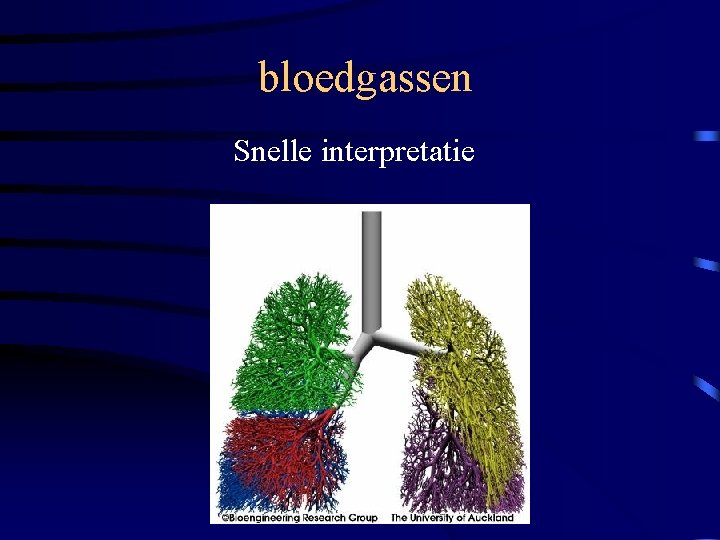 bloedgassen Snelle interpretatie 