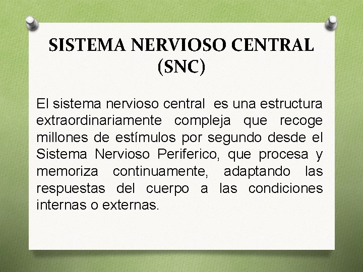 SISTEMA NERVIOSO CENTRAL (SNC) El sistema nervioso central es una estructura extraordinariamente compleja que