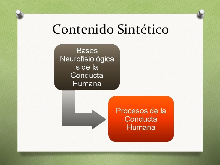 Contenido Sintético Bases Neurofisiológica s de la Conducta Humana Procesos de la Conducta Humana