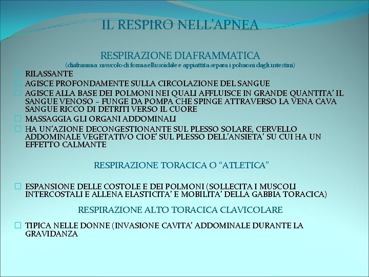 IL RESPIRO NELL’APNEA RESPIRAZIONE DIAFRAMMATICA (diaframma: muscolo di forma ellissoidale e appiattita separa i