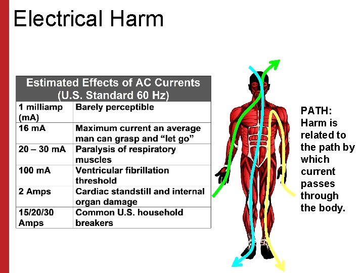 Electrical Harm PATH: Harm is related to the path by which current passes through