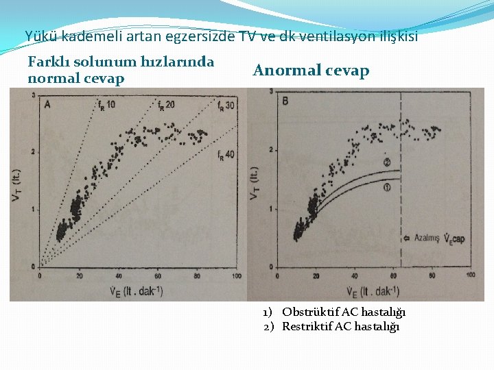 Yükü kademeli artan egzersizde TV ve dk ventilasyon ilişkisi Farklı solunum hızlarında normal cevap