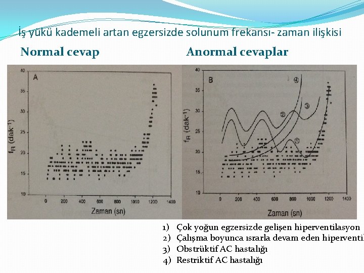 İş yükü kademeli artan egzersizde solunum frekansı- zaman ilişkisi Normal cevap Anormal cevaplar 1)