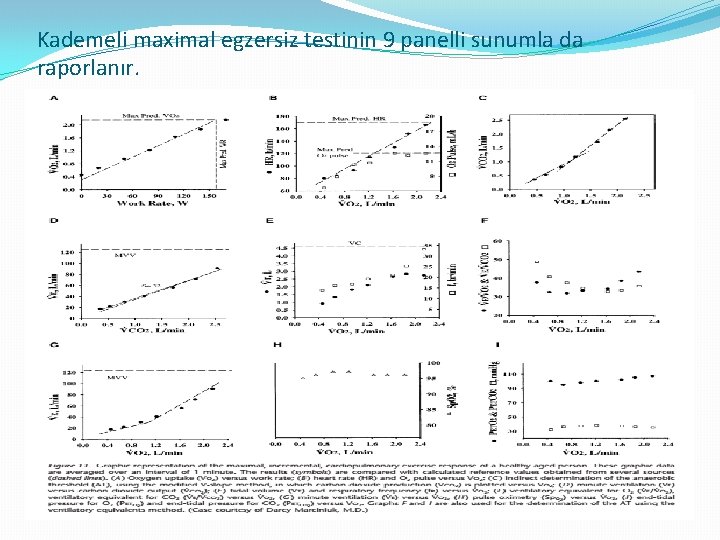 Kademeli maximal egzersiz testinin 9 panelli sunumla da raporlanır. 