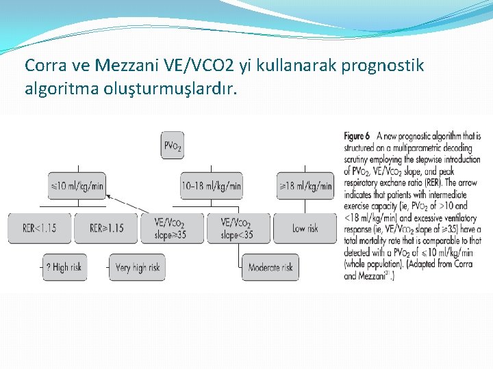 Corra ve Mezzani VE/VCO 2 yi kullanarak prognostik algoritma oluşturmuşlardır. 