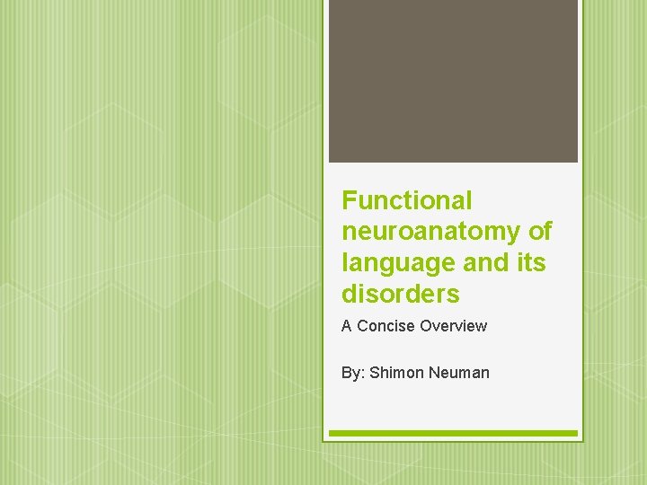 Functional neuroanatomy of language and its disorders A Concise Overview By: Shimon Neuman 