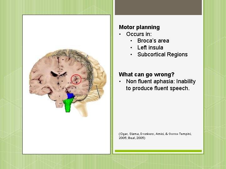 Motor planning • Occurs in: • Broca’s area • Left insula • Subcortical Regions