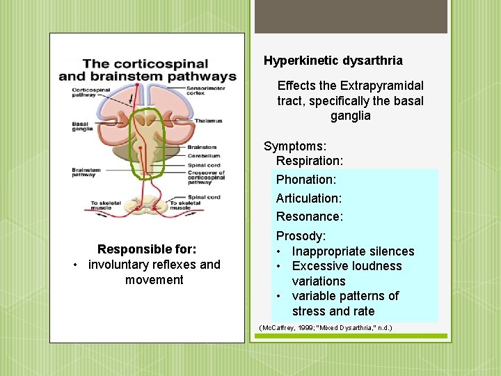 Hyperkinetic dysarthria Effects the Extrapyramidal tract, specifically the basal ganglia Responsible for: • involuntary