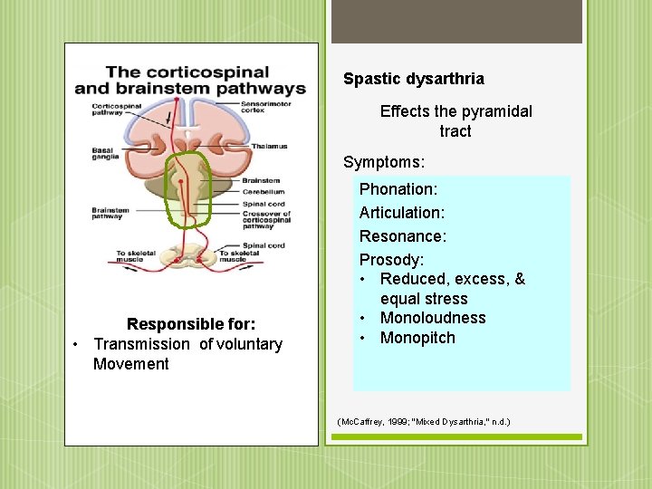 Spastic dysarthria Effects the pyramidal tract Symptoms: Responsible for: • Transmission of voluntary Movement