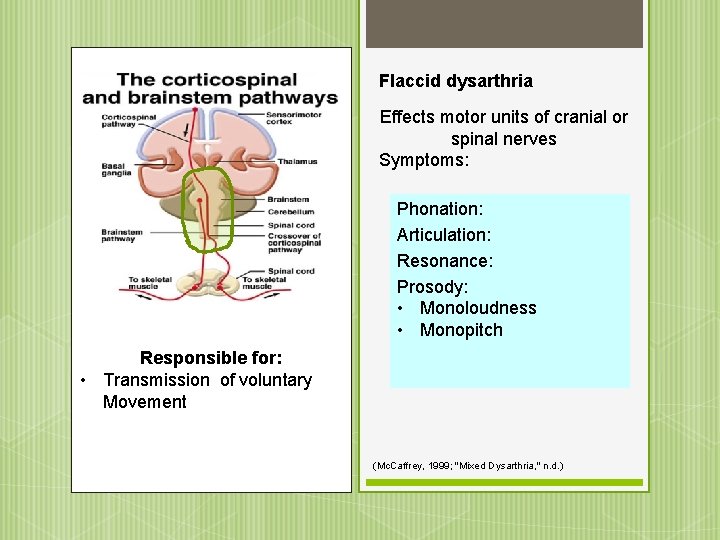 Flaccid dysarthria Effects motor units of cranial or spinal nerves Symptoms: Phonation: • Articulation: